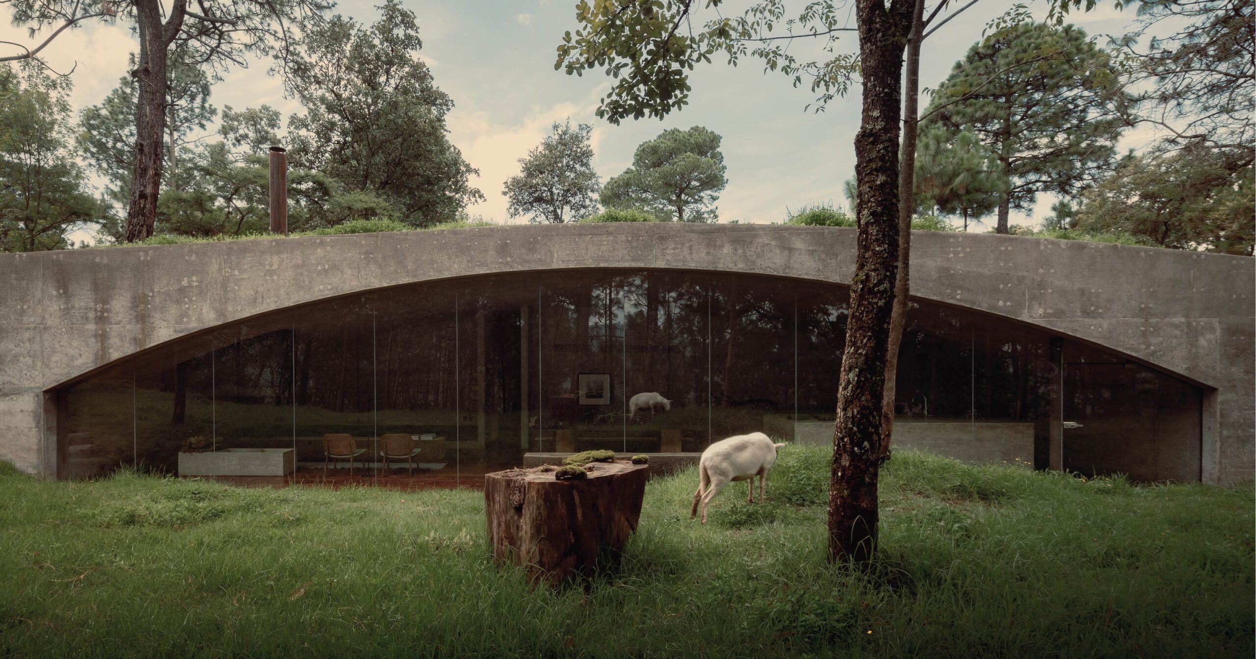 The Hill in Front the Glen | HW Studio | World Design Awards 2022