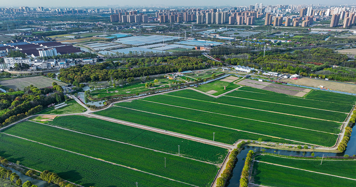 Balancing natural growth and urban sprawl: Landscape Restoration of Shanghai Jiabei Country Park | Arcplus-sxadl | World Design Awards 2023