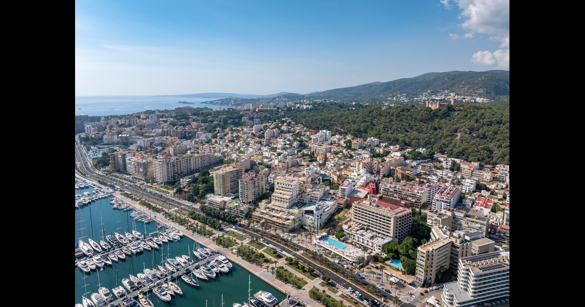Construction Project for the Redevelopment of the Seafront Promenade of the Port of Palma | Port Authority of Balearic Islands | World Design Awards 2025